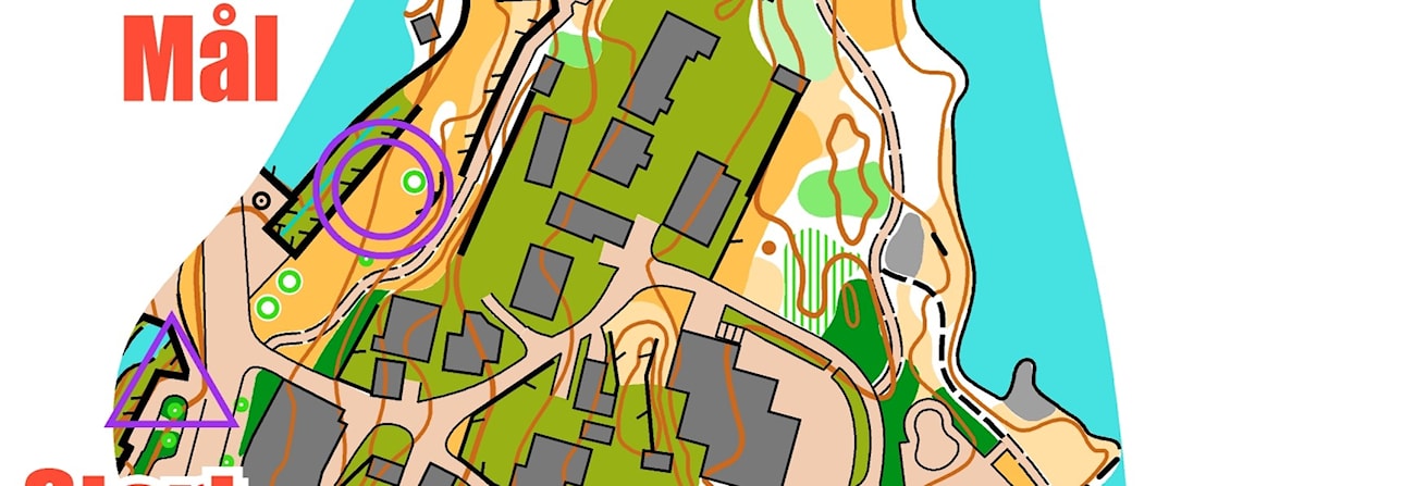Sprinttrening Moss sentrum NB PÅMELDINGFRIST!